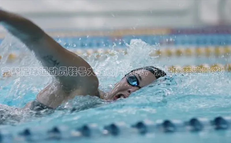 米乐m6小罗代言百度数据开放平台完整足球运动员鞋号大全图片分享，满足球鞋迷需求！