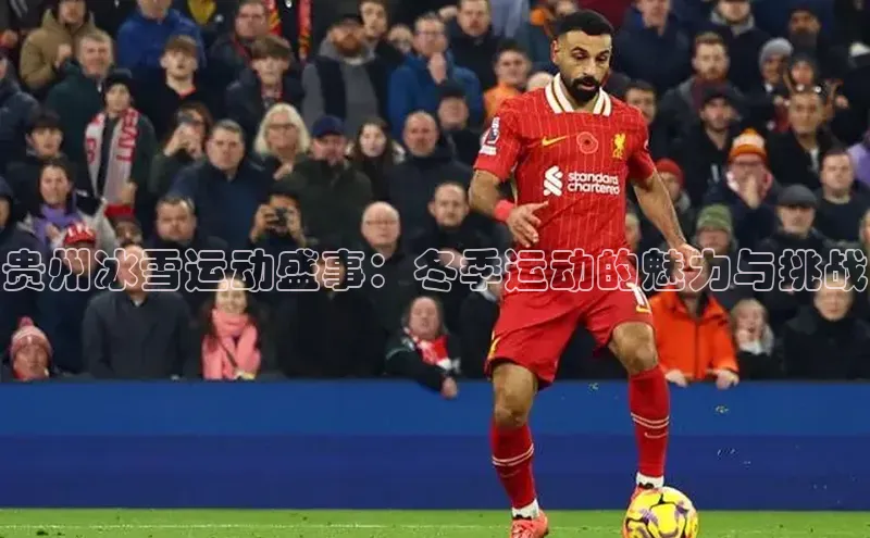 贵州冰雪运动盛事：冬季运动的魅力与挑战