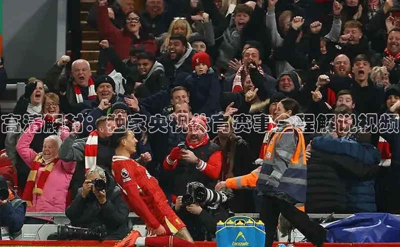 高清解封：独家央视体育赛事全程解说视频