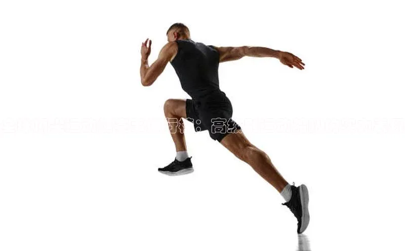 全球顶尖运动艇赛事排行榜：高级别运动船队的实力表现