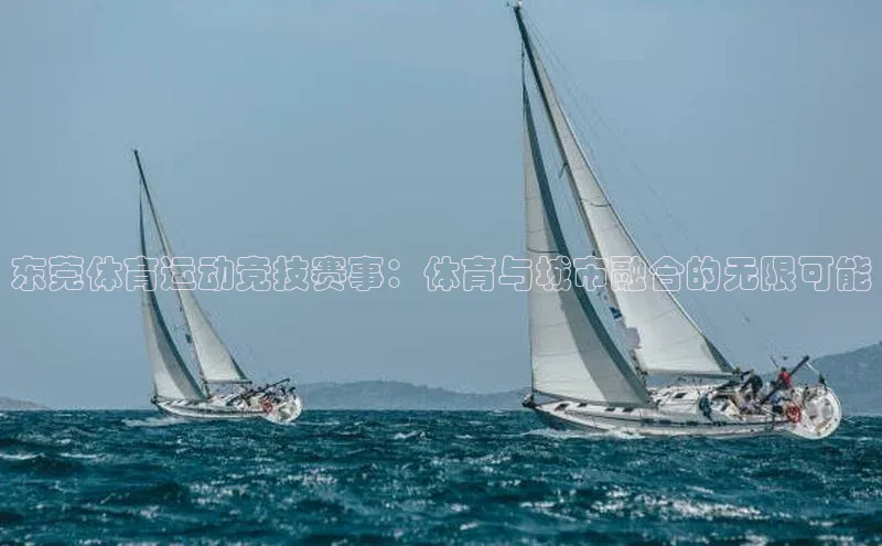 东莞体育运动竞技赛事：体育与城市融合的无限可能