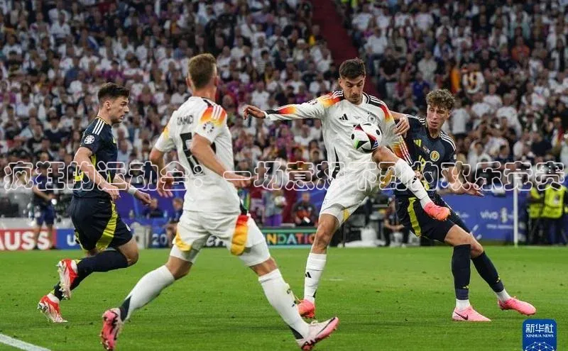 疯狂的运动会：一场意想不到的欢乐竞赛