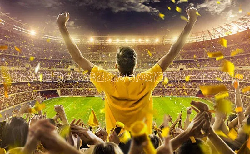 剖析大型运动会的潜在风险与应对策略：一个案例研究