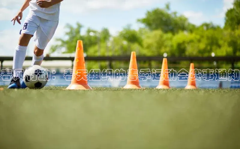 春风行动：春天组织的春季运动会赛事通知