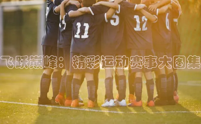 飞跃巅峰：精彩运动赛事大图集