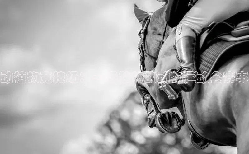 动植物竞技场：一场独特的动物运动会赛事