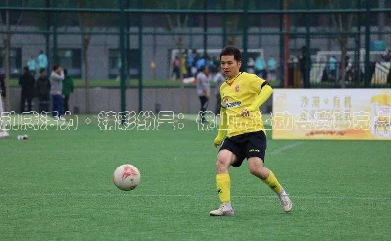 动感活力·精彩纷呈：佛山市运动会赛事亮点