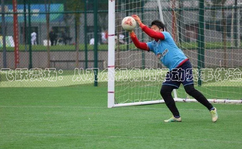 飞跃赛场：从观众视角的运动赛事体验