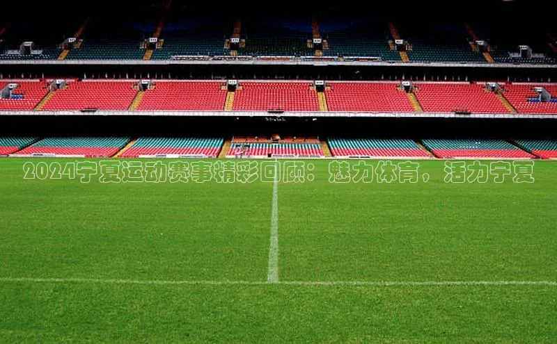 2024宁夏运动赛事精彩回顾：魅力体育，活力宁夏
