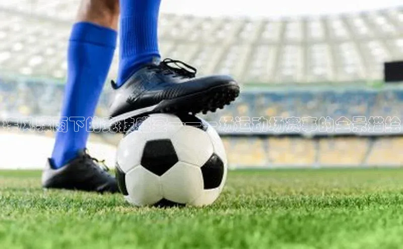 疾风骤雨下的竞技盛宴——一场运动场赛事的全景描绘