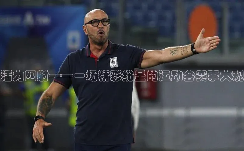 活力四射——一场精彩纷呈的运动会赛事大观