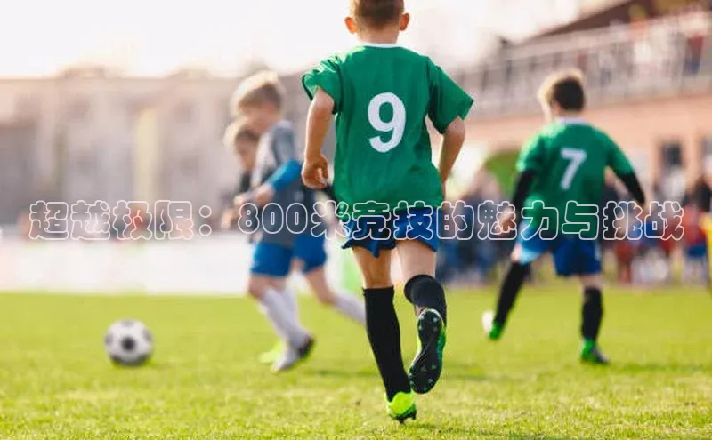 超越极限：800米竞技的魅力与挑战