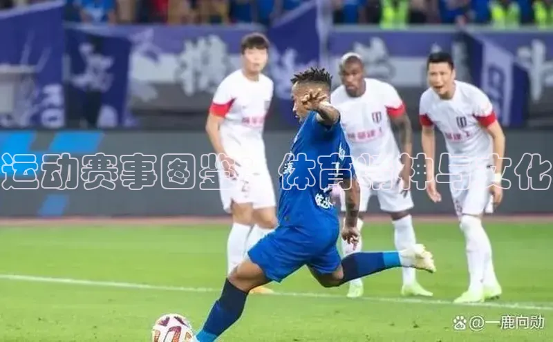 运动赛事图鉴：体育精神与文化